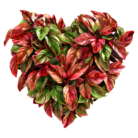 Beautiful Heart Made with Leaves on Transparent Background png