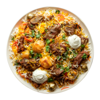 indio tradicional Biryani plato en transparente antecedentes png