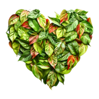 Beautiful Heart Made with Leaves on Transparent Background png