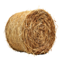 Yellow Hay Stack on Transparent Background png