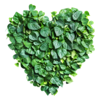 Beautiful Heart Made with Leaves on Transparent Background png