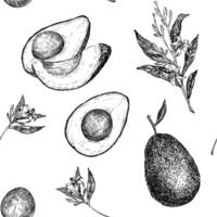 Seamless pattern with avocado hass graphic illustration, hand drawn sketch of vegetable,sliced avocado, flowers. Botanical drawing of tropical fruit. Engraving for food packaging design. vector