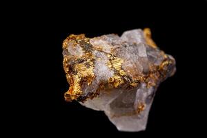 macro mineral stone gold in the rock on a black background photo