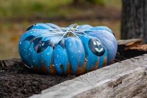 Beautiful pumpkins for halloween photo