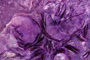 Macro stone mineral Charoite on a white background photo