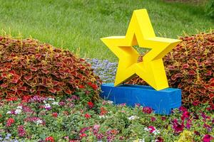 yellow star next to a flowerbed of flowers on green grass photo
