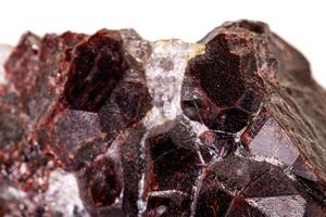 Macro stone garnet mineral on white background photo