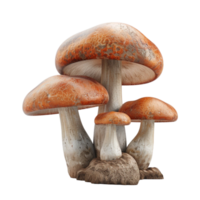 Generated AI three mushrooms on transparent background png