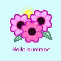 Flowers with the sun. Hello summer. Pixel art. illustration vector