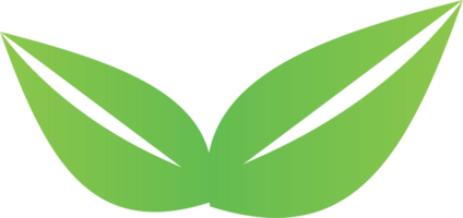 logotipo da folha verde png