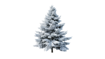 tranquilo pinho árvore dentro Nevado panorama em a transparente fundo, formato png