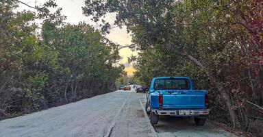 Playa del Carmen Quintana Roo Mexico 2021 Path road and trail in the tropical nature jungle Mexico. photo