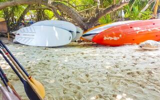 Canoe tour boat in tropical island nature Rasdhoo island Maldives. photo