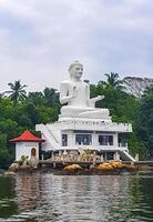 grande blanco Buda estatua bentota ganga bentota playa sri lanka. foto