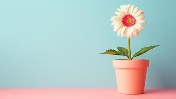 A solitary gerbera daisy in a peach pot against a blue and pink gradient photo