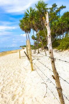 naturaleza tropical selva bloqueado arriba detrás de madera mordaz cable cerca. foto
