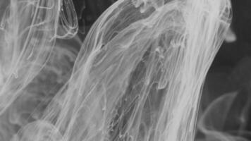 schwarz und Weiß abstrakt Hintergrund Filmaufnahme. abstrakt Beleuchtung, Rauch und Wellen video