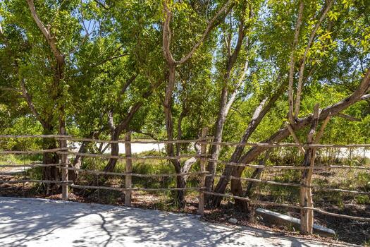 naturaleza tropical selva bloqueado arriba detrás de madera mordaz cable cerca. foto