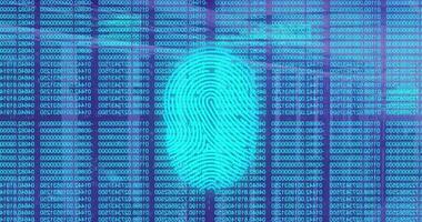 Fingerprint scan animation. Biometric identification scanning footage video