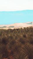 Scenic desert steppe landscape with mountains video