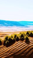 desert landscape in Crater National park video