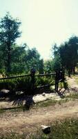 dirt road through forested countryside at sunset video