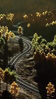 An aerial view of a road surrounded by trees video