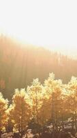 Sunlight filtering through the majestic mountain landscape video