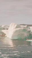 Glaciers and the icebergs of Antarctica video