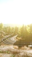 An empty road winding through a serene forest at sunset video