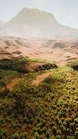 a rochoso panorama do a californiano mojave deserto com verde arbustos video