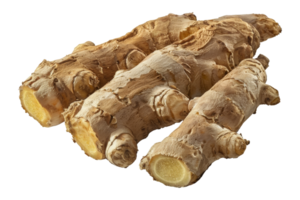 Fresh organic ginger roots, cut out - stock .. png