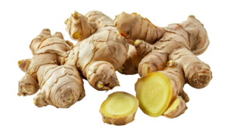 Fresh organic ginger roots, cut out - stock .. png