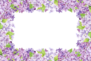 Watercolor horizontal frame with purple lilac on a transparent background. Rectangular border of spring flowers in lavender color. Create Provence Style Wedding Invitations, Save the Date. png