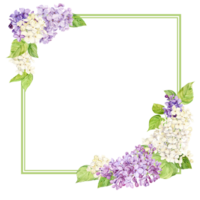 elegant Platz Rahmen mit ein lila Farbton. Vorlage mit Frühling Blumen mit Platz zum Text. Karte zum Mutter Tag, Valentinstag Tag. Illustration zum Hochzeit Dekoration im rustikal Provence Stil. png