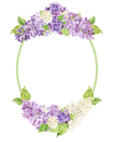 Oval frame with white and purple lilacs. Template with spring flowers and place for text. Postcard for Mother's Day, March 8, Valentine's Day. Rustic decor on a transparent background. Save the date. png