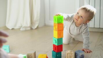 bambin enfant en jouant avec coloré jouet blocs. des gamins jouer. éducatif Jeu pour bébé et bambin video