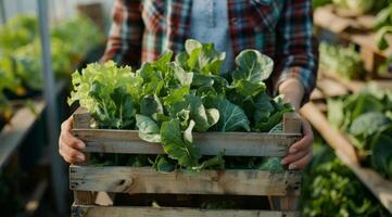 Man Holding Wooden Box Filled With Lettuce photo