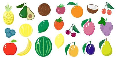 Set of various fruits and berries. Collection of organic vitamins and healthy food stickers. vector