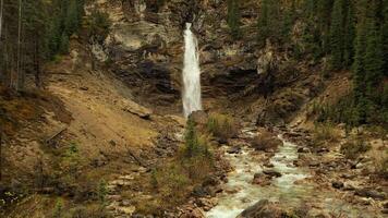 Aerial View of the beautiful Laughing falls video