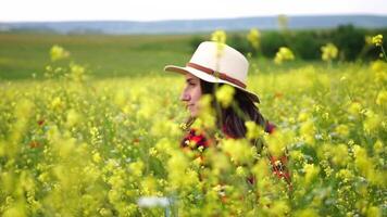 caucasico donna Tenere un' appena raccolto mazzo di bianca margherite nel un' bellissimo primavera erba prato. raccolta fiori selvatici e godendo un' natura, vacanze fine settimana avventura, tempo libero vacanza concetto video