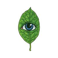 ilustración de un ojo en un hoja vector