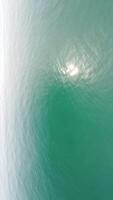 vertical aéreo ver de el delfines despacio nadando en cristal claro turquesa aguas grupo de endémico marina mamíferos migrando a lo largo línea costera como visto desde arriba. video