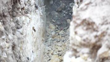 scavatrice scava un' trincea per posare tubi. vicino su di un scavatrice scavando un' in profondità trincea. un scavatrice scava un' trincea nel il campagna per posare un' acqua tubo. lento movimento video