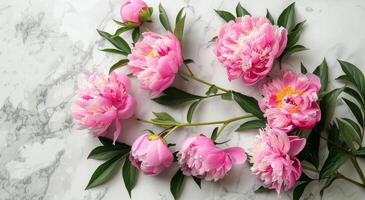 Pink Peonies on a Marble Surface photo