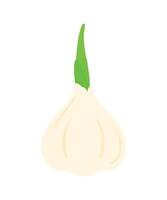 Garlic spice icon clipart animated cartoon illustration vector
