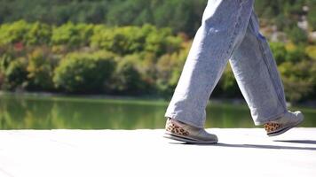 allegro contento donna turista con spensierato Sorridi contro fondale di autunno montagne e sereno lago. concetto di la libertà e la gioia. femmina escursionista nel giallo giacca, braccia sollevato, godendo caldo sole all'aperto video