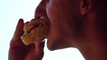 silhouet van een Mens genieten van aan het eten van een Hamburger. kant visie portret van een persoon genieten een verrukkelijk, bevredigend hamburger met Super goed trek. snel voedsel mildheid. video