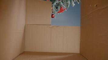joven mujer apertura Navidad presente debajo árbol siendo contento acerca de sorpresa desde amigos y familia. caucásico persona desempacar regalo caja mientras preparando para celebracion festividad. ver desde dentro el caja video