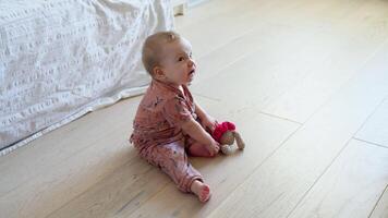 Baby girl playing with toy indoors at home video